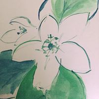 18620239_1182561435188708_8965479670152138852_n