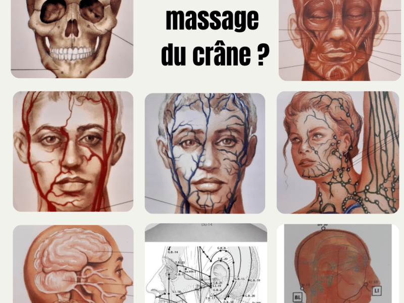 Les bienfaits du massage cranio-facial : du bien-être aux effets bénéfiques pour la&nbsp;santé