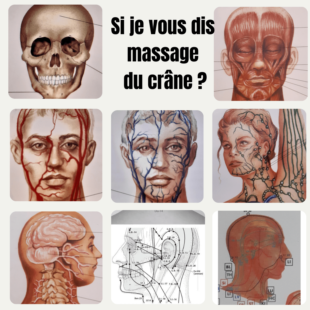Les bienfaits du massage cranio-facial : du bien-être aux effets bénéfiques pour la&nbsp;santé