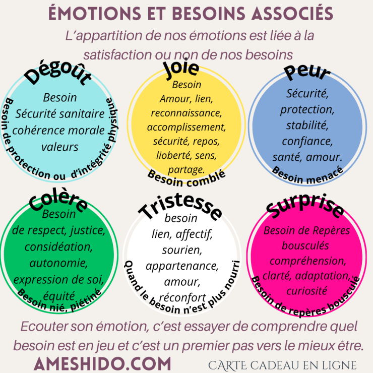 Emotions et besoins associés, une clef pour&nbsp;comprendre